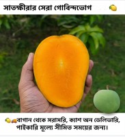 20 KG গোবিন্দভোগ আম (সাতক্ষীরার বাগান থেকে)